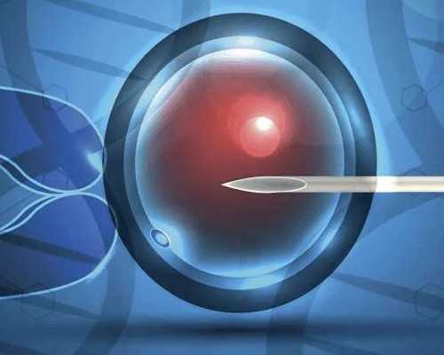 子宫后位的原因