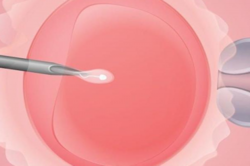 深圳私立供卵机构排名,深圳三代试管私立与公立医院区别？具体花多少！