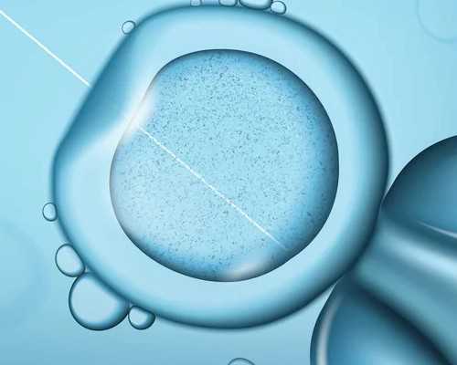 东莞供卵后恢复要多久（广州金贝供卵生殖中心地址）