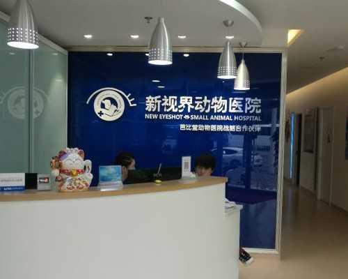 les试管可以用两个女人的卵泡吗