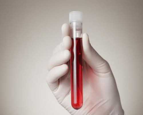 关于供卵试管你是接受还是反对