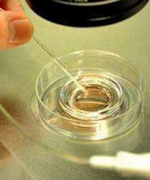 2026年深圳三代试管最好的私立医院是哪家?附深圳三代试管医院推荐