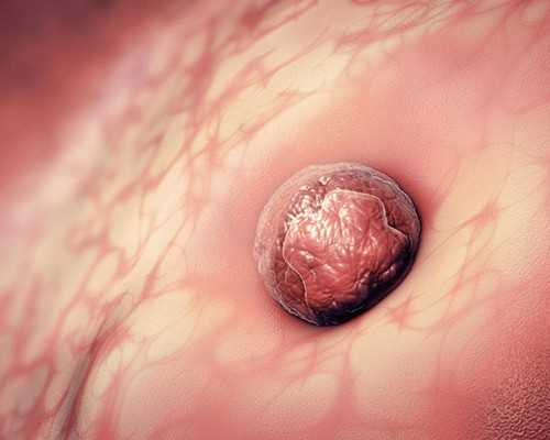 月经不规律?这四款饮品帮你轻松调理!