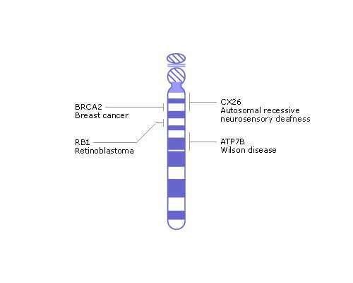 重拾活力:3款美食食谱助力更年期女性迈向新生
