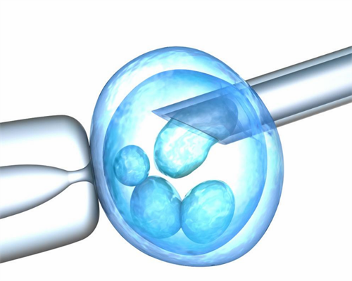 深圳哪家医院可以做供卵试管