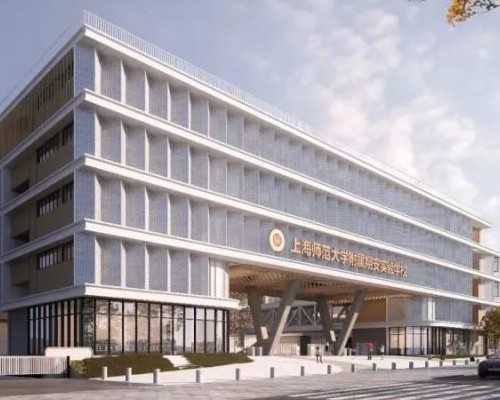 阴道炎：认识并防范其症状及其影响