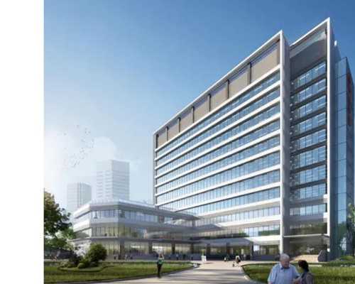 女性必知：卵巢早衰的真相与预防之道