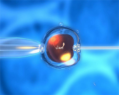 预防子宫内膜癌：四种护理与七种有效治疗方案