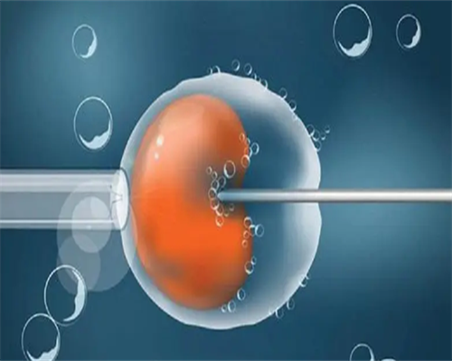 做三代试管男性睾丸穿刺取精手术疼不疼？