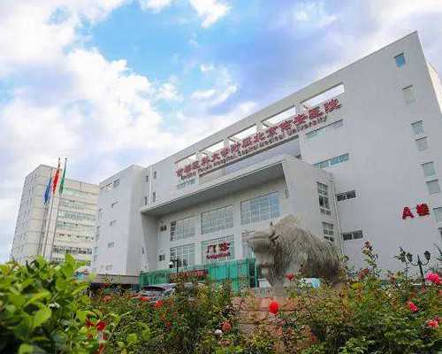 盆腔炎：揭秘症状背的真相