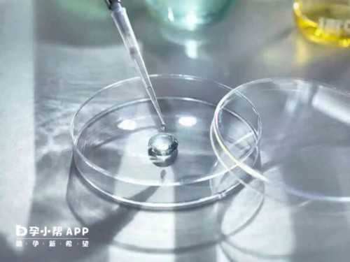 汕尾能做试管婴儿吗?广东省内大多数姐妹都在这些地方做