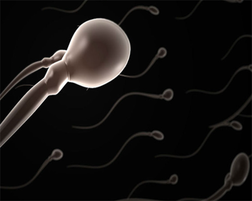 泰国试管婴儿移植后如何预防生化妊娠？