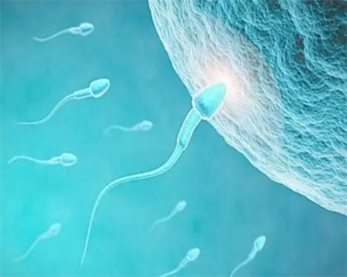 五类女性需要预防宫外孕