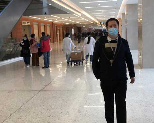 移植后21天胚胎图片