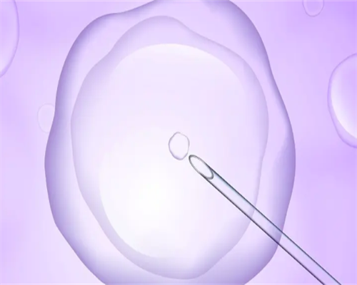 在促排卵期间，请注意这些事项