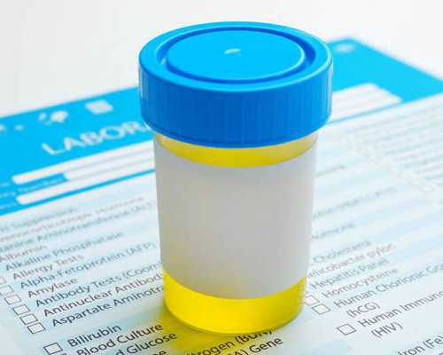 深圳助孕正规的机构,助您圆梦成家,深圳哪家医院的试管成功率比较高！如何做