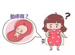 深圳有需要代孕的么,现在深圳第三代试管大概费用多少？