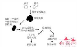 上海代生双胞胎网,2023年上海供卵机构最新排名发布，附供卵三代生男孩收费标