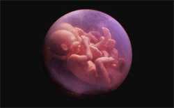 成都代生女电话,2023成都供卵三代生男孩需要什么条件，附带卵机构排名