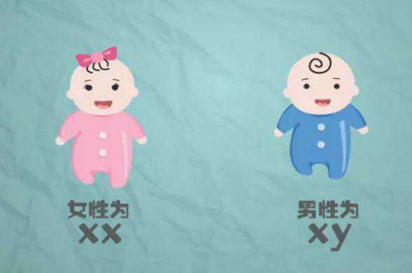 深圳有冻胚能代孕吗，深圳哪里能做三代试管婴儿？